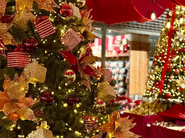 Extra Koopavonden Kerstshow slide 12