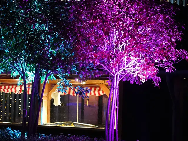 Extra Koopavonden Kerstshow slide 7