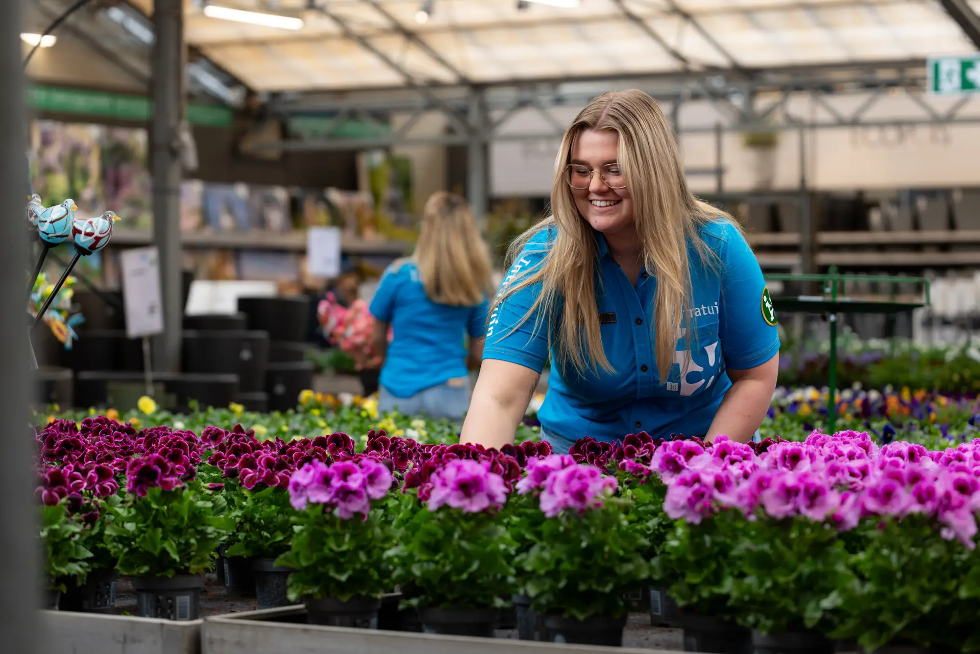 Voorjaar Intratuin Halsteren