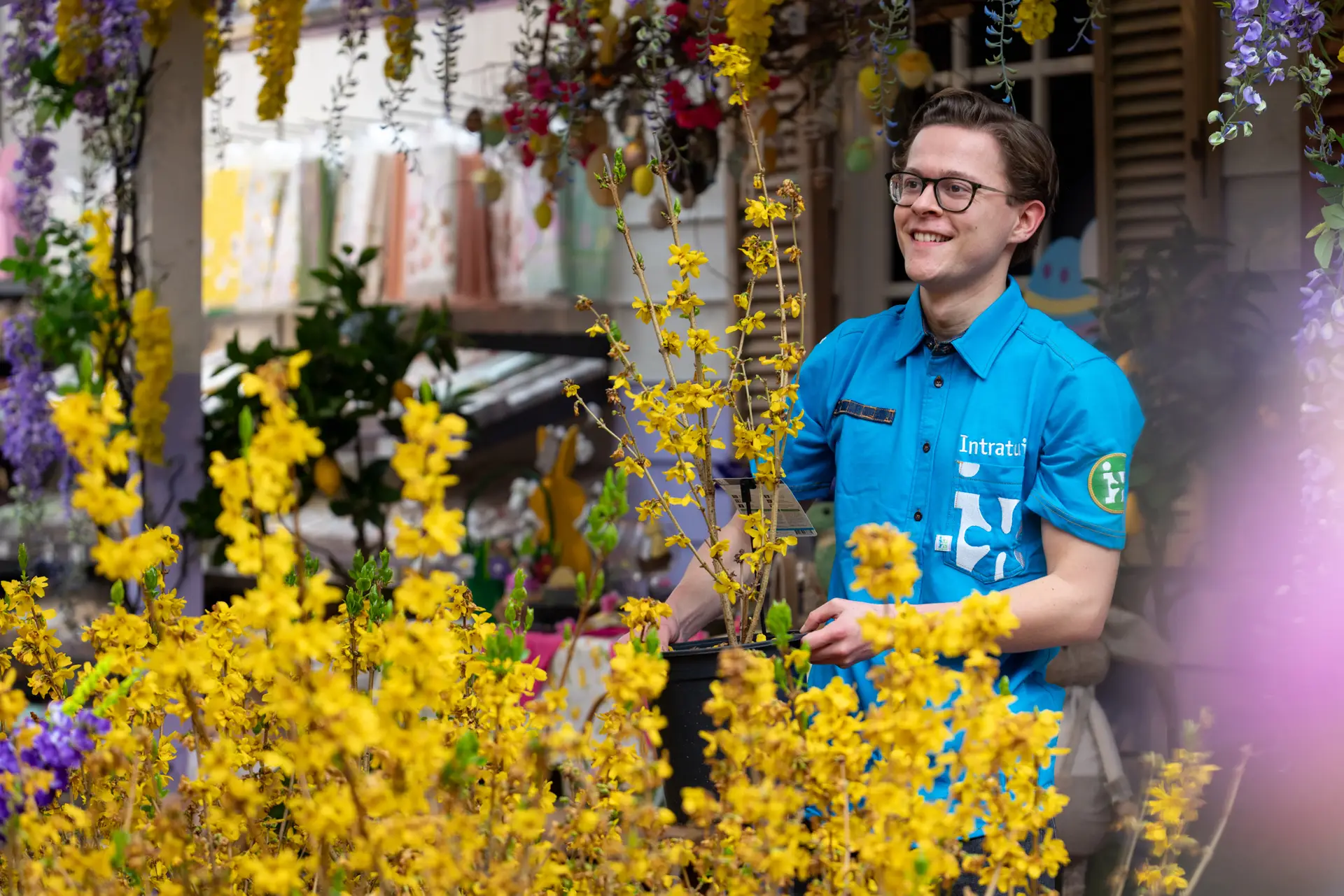 Lente Intratuin Halsteren