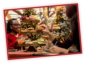 Santa's high tea Intratuin Halsteren